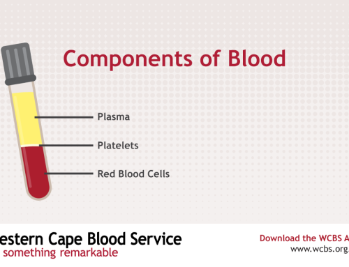 The Remarkable Components of Blood