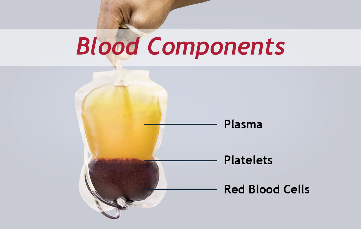 Blood components: plasma, platelets, red blood cells