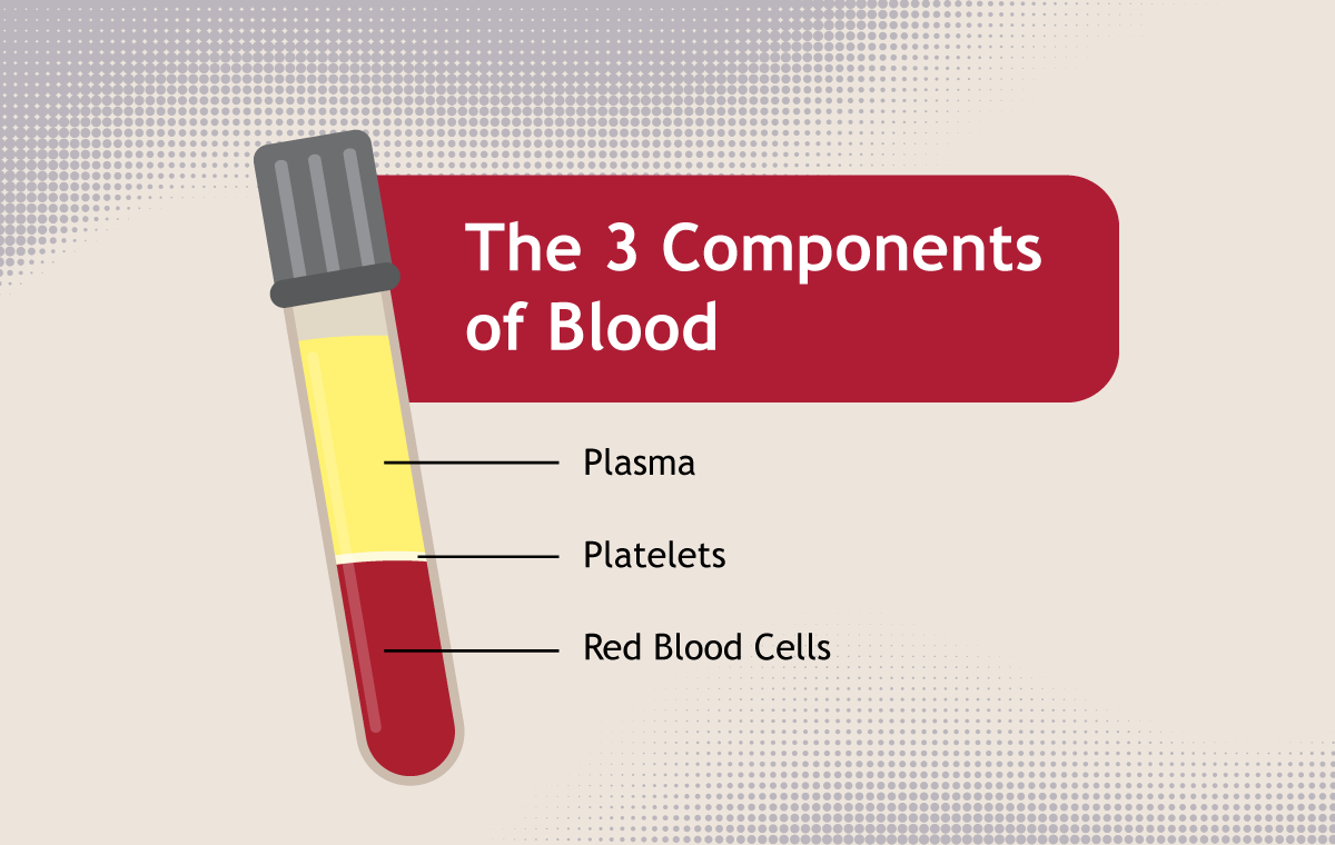 One Blood Donation Can Save Up to Three Lives