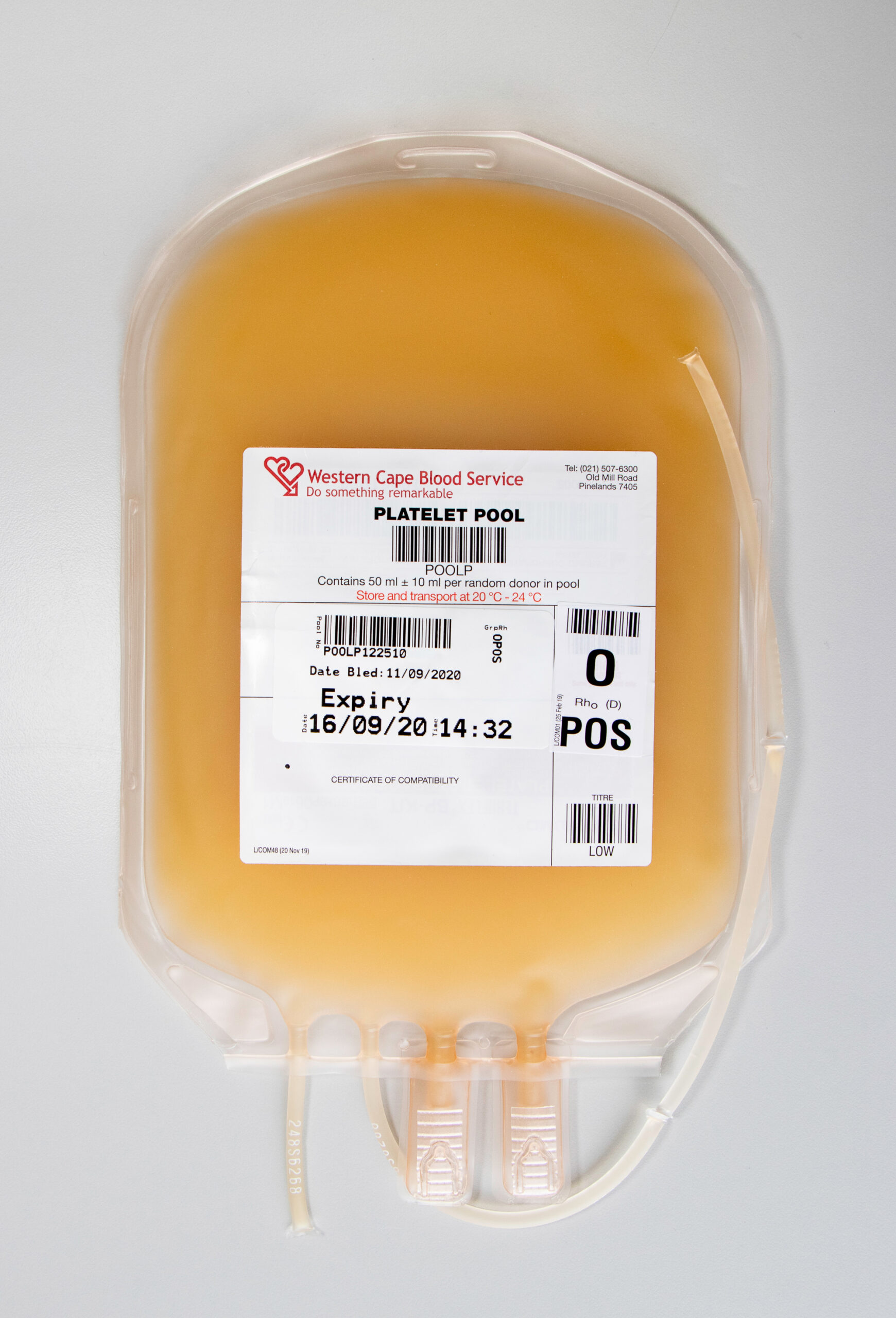 WCBS-Pool-Platelet