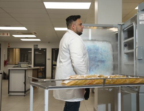 Behind the Scenes: Meet the Machines